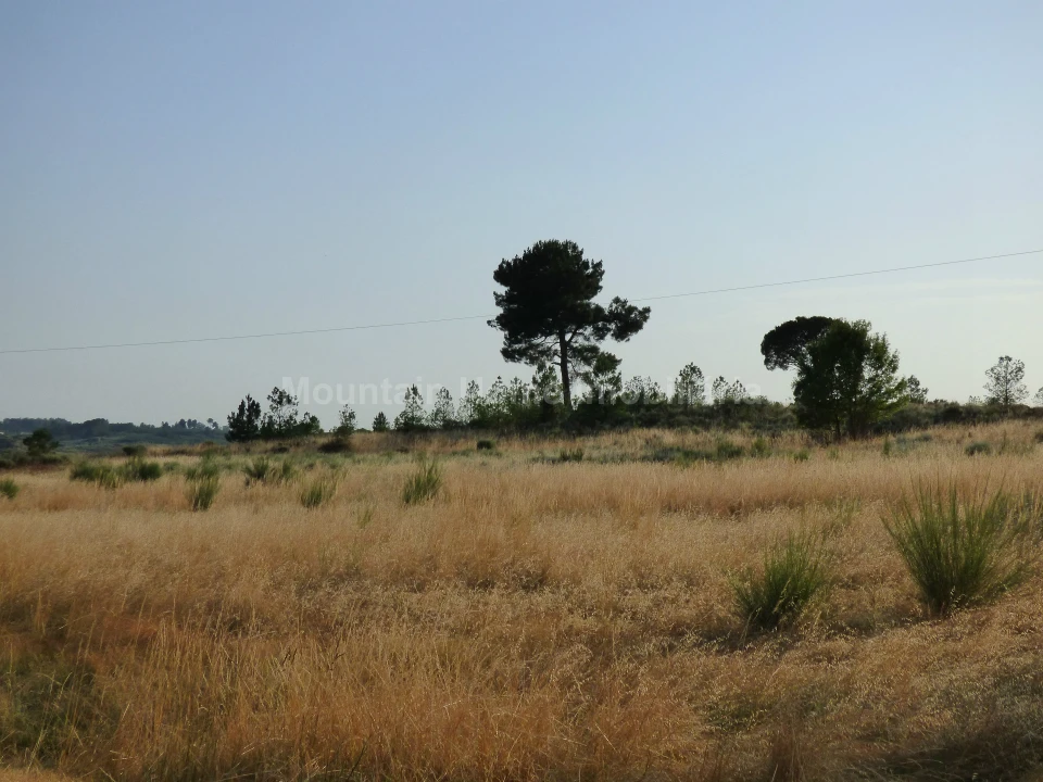 Terreno para Venda em Melo e Nabais Foto 4