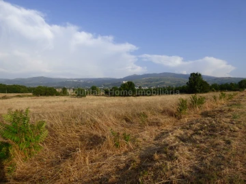 Terreno para Venda em Melo e Nabais