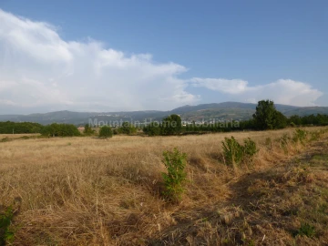 Terreno para Venda em Melo e Nabais