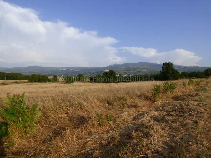 Terreno para Venda em Melo e Nabais Foto 2