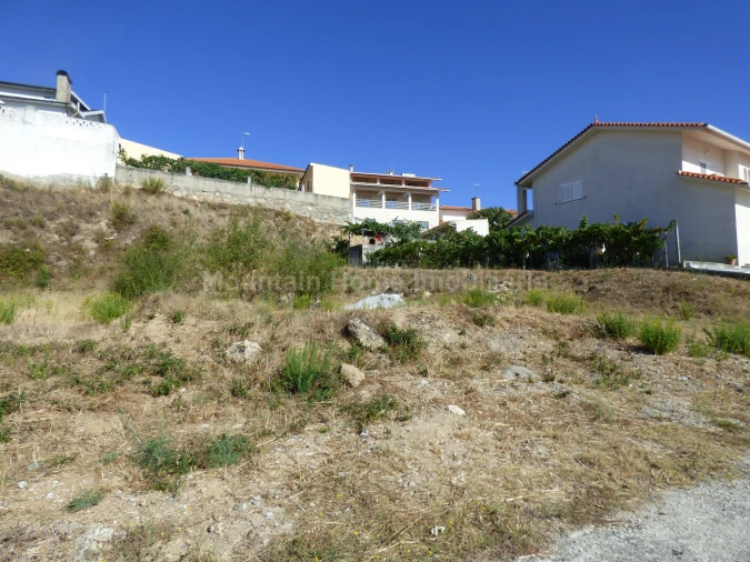 Terreno para Venda em São Pedro e Santa Maria e Vila Boa do Mondego Foto 2
