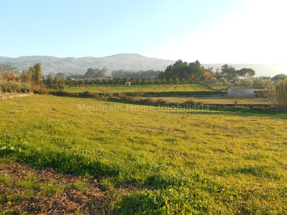 Terreno Agricola ou Rústico para Venda em Paços da Serra Foto 3