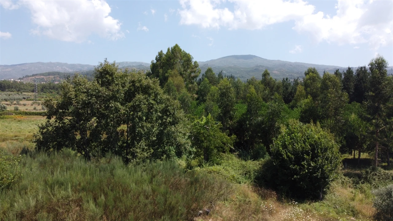 Terreno Agricola ou Rústico para Venda em Paços da Serra Foto 7