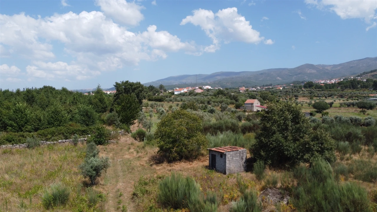 Terreno Agricola ou Rústico para Venda em Paços da Serra Foto 2