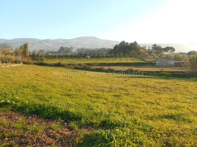 Terreno Agricola ou Rústico para Venda em Paços da Serra Foto 3