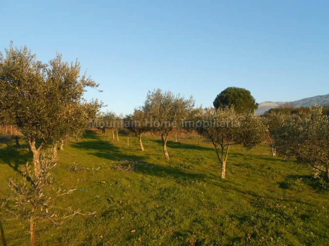 Terreno Agricola ou Rústico para Venda em Paços da Serra Foto 5