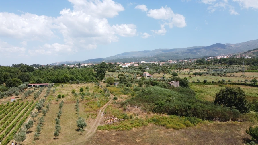 Terreno Agricola ou Rústico para Venda em Paços da Serra Foto 6
