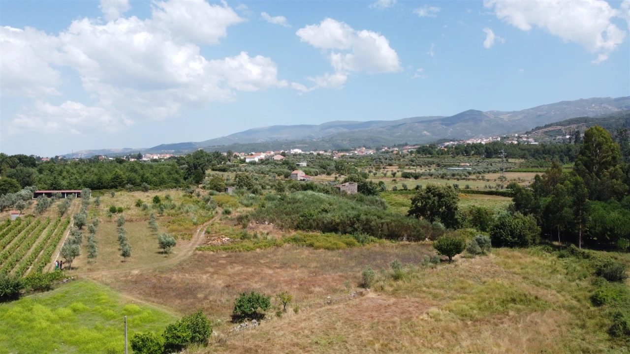 Terreno Agricola ou Rústico para Venda em Paços da Serra Foto 1