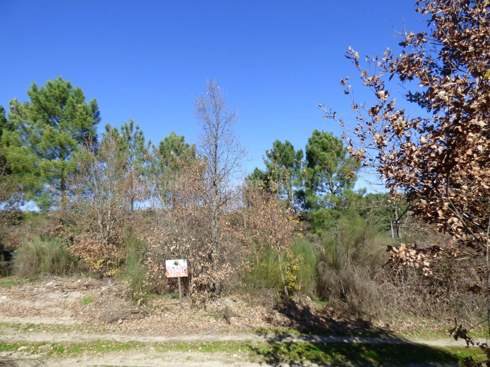 Terreno para Venda em Abrunhosa-A-Velha Foto 1