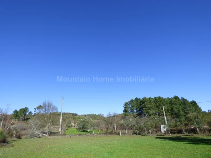 Terreno para Venda em Abrunhosa-A-Velha Foto 5