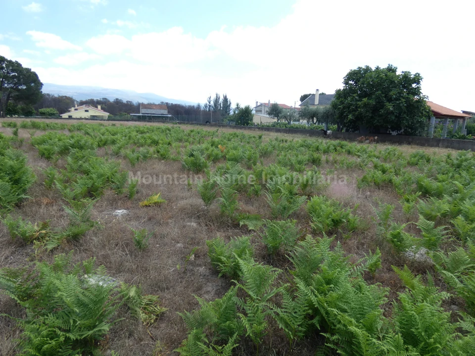 Terreno para Venda em Tourais e Lajes Foto 5
