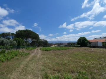 Terreno para Venda em Tourais e Lajes