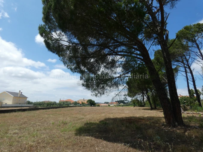 Terreno para Venda em Tourais e Lajes Foto 7