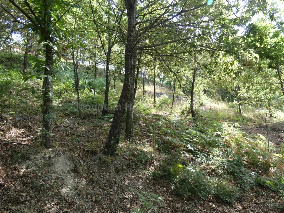Terreno para Venda em Seia, São Romão e Lapa dos Dinheiros Foto 8