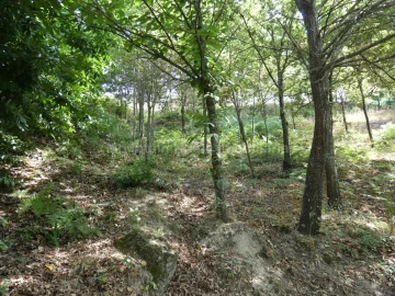 Terreno para Venda em Seia, São Romão e Lapa dos Dinheiros