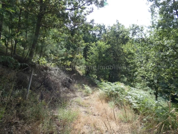 Terreno para Venda em Seia, São Romão e Lapa dos Dinheiros