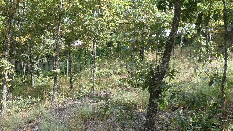 Terreno para Venda em Seia, São Romão e Lapa dos Dinheiros