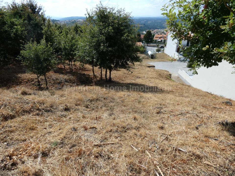 Terreno para Venda em Seia, São Romão e Lapa dos Dinheiros Foto 2