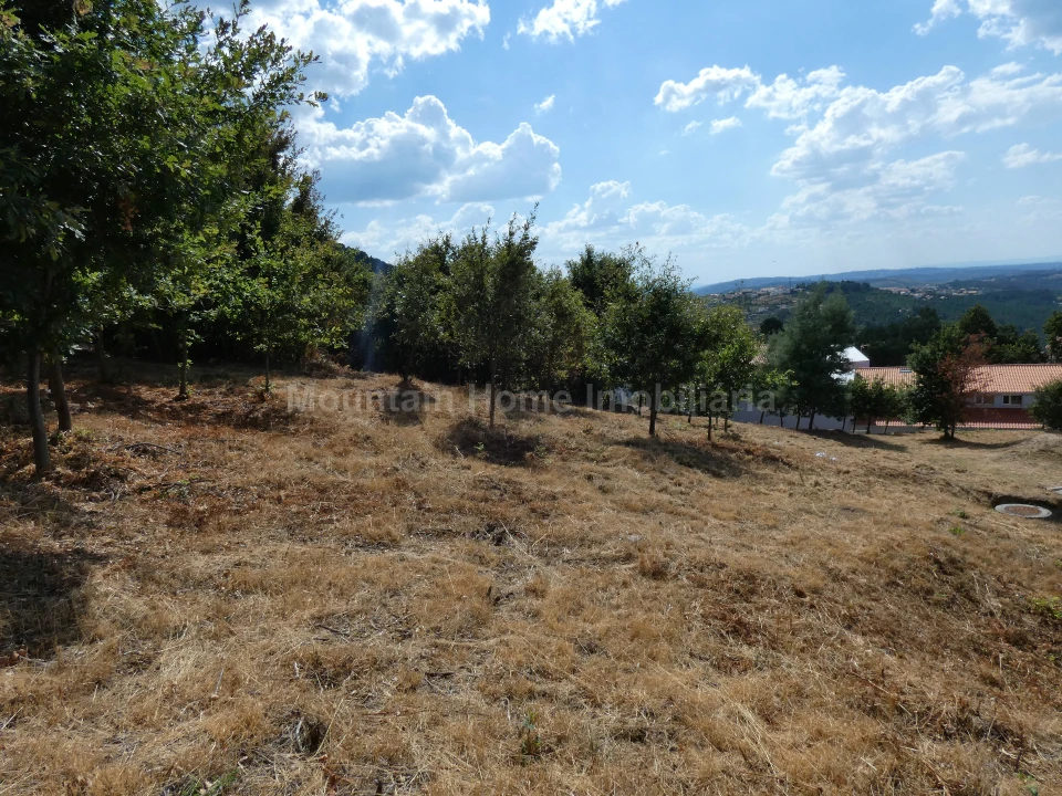 Terreno para Venda em Seia, São Romão e Lapa dos Dinheiros Foto 4