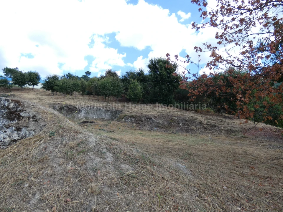 Terreno para Venda em Seia, São Romão e Lapa dos Dinheiros Foto 10