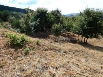 Terreno para Venda em Seia, São Romão e Lapa dos Dinheiros