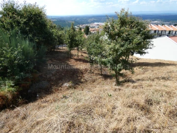 Terreno para Venda em Seia, São Romão e Lapa dos Dinheiros