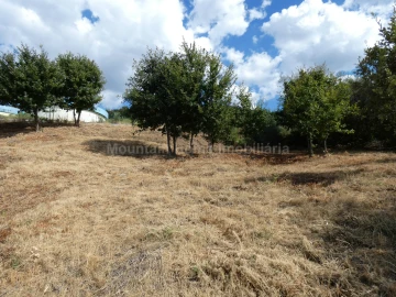 Terreno para Venda em Seia, São Romão e Lapa dos Dinheiros