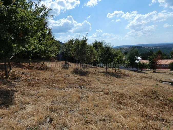 Terreno para Venda em Seia, São Romão e Lapa dos Dinheiros Foto 4