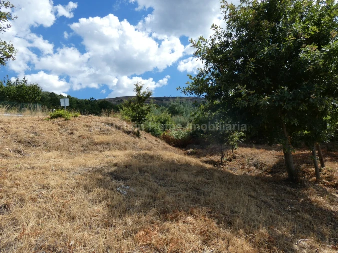 Terreno para Venda em Seia, São Romão e Lapa dos Dinheiros Foto 6