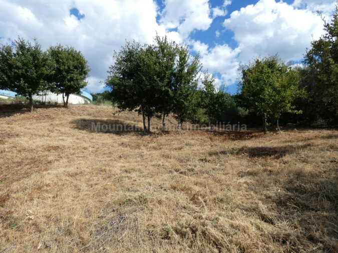 Terreno para Venda em Seia, São Romão e Lapa dos Dinheiros Foto 7