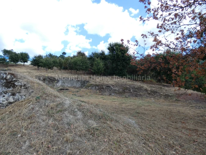 Terreno para Venda em Seia, São Romão e Lapa dos Dinheiros Foto 10