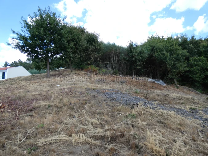 Terreno para Venda em Seia, São Romão e Lapa dos Dinheiros Foto 11