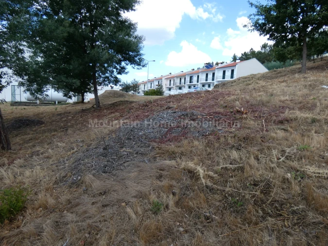 Terreno para Venda em Seia, São Romão e Lapa dos Dinheiros Foto 12
