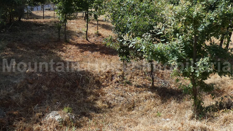 Terreno para Venda em Seia, São Romão e Lapa dos Dinheiros