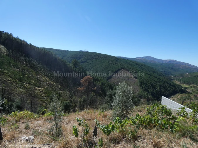 Terreno para Venda em Seia, São Romão e Lapa dos Dinheiros Foto 2