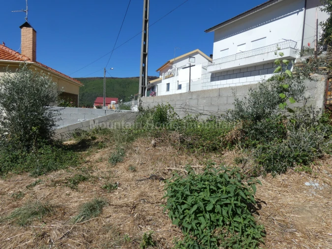 Terreno para Venda em Seia, São Romão e Lapa dos Dinheiros Foto 4