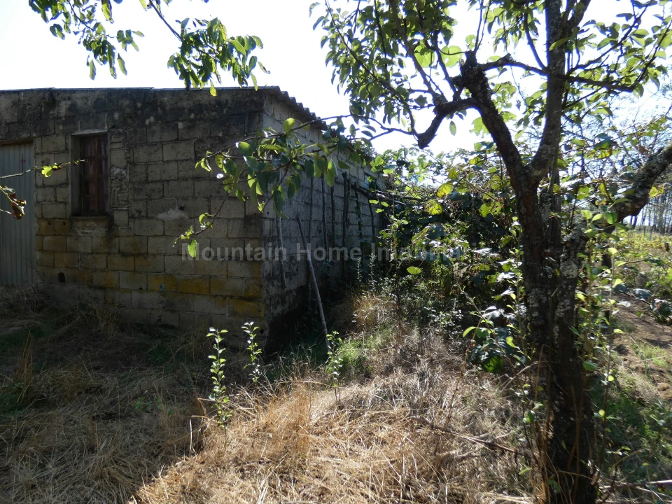 Quinta T0 para Venda em São Gião Foto 4