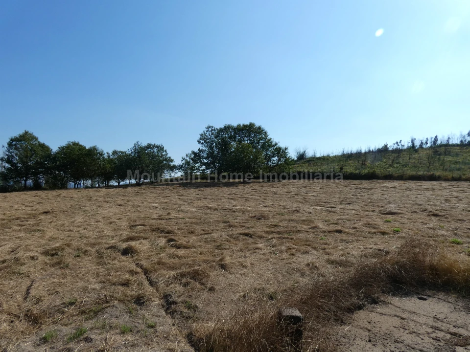 Quinta T0 para Venda em São Gião Foto 2
