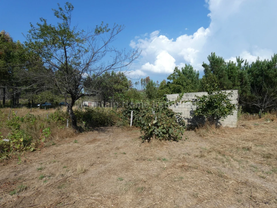 Quinta T0 para Venda em São Gião Foto 9