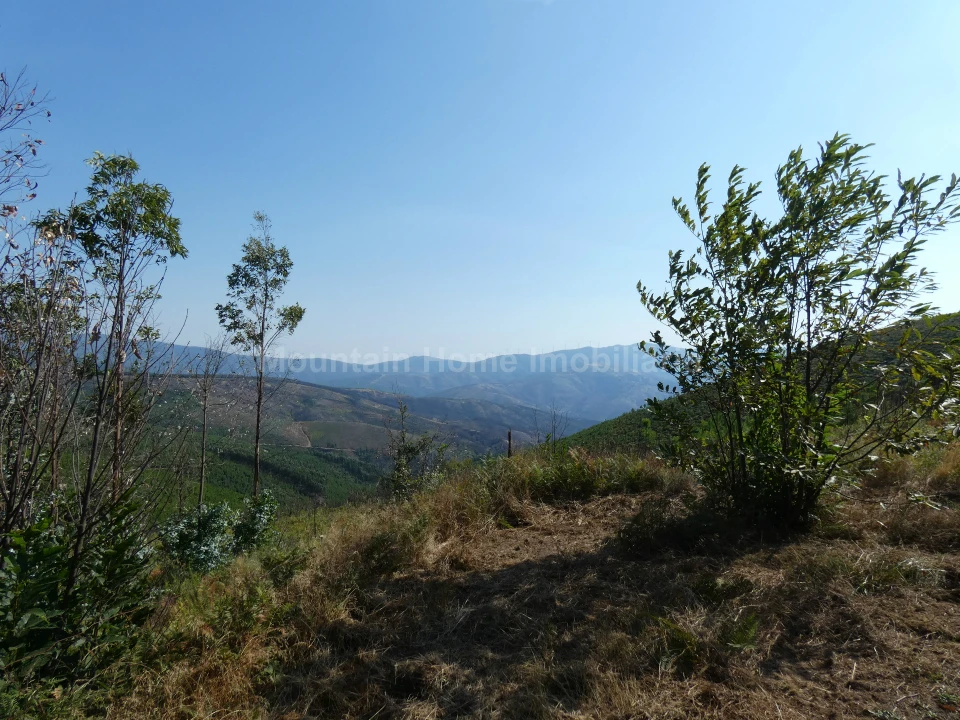 Quinta T0 para Venda em São Gião Foto 15