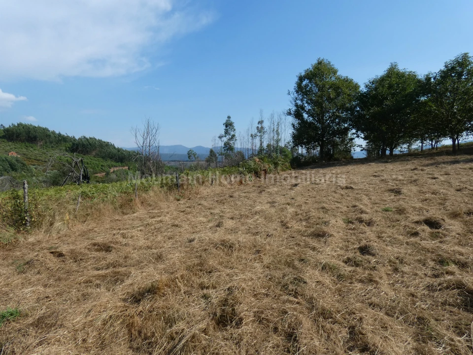 Quinta T0 para Venda em São Gião Foto 18