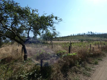 Quinta T0 para Venda em São Gião