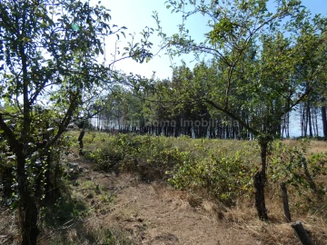 Quinta T0 para Venda em São Gião