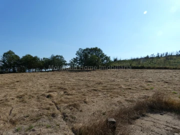 Quinta T0 para Venda em São Gião
