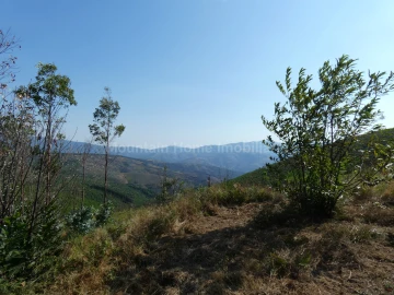 Quinta T0 para Venda em São Gião