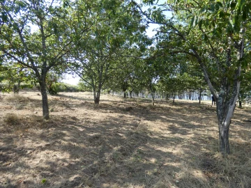 Quinta T0 para Venda em São Gião