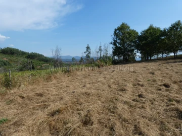 Quinta T0 para Venda em São Gião