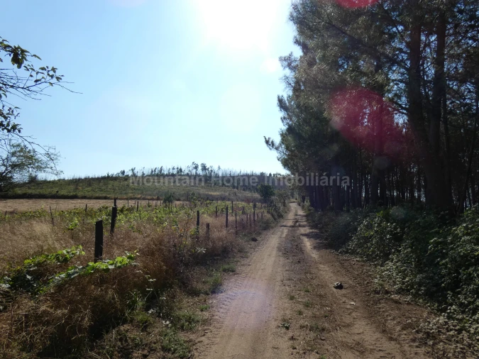 Quinta T0 para Venda em São Gião Foto 19