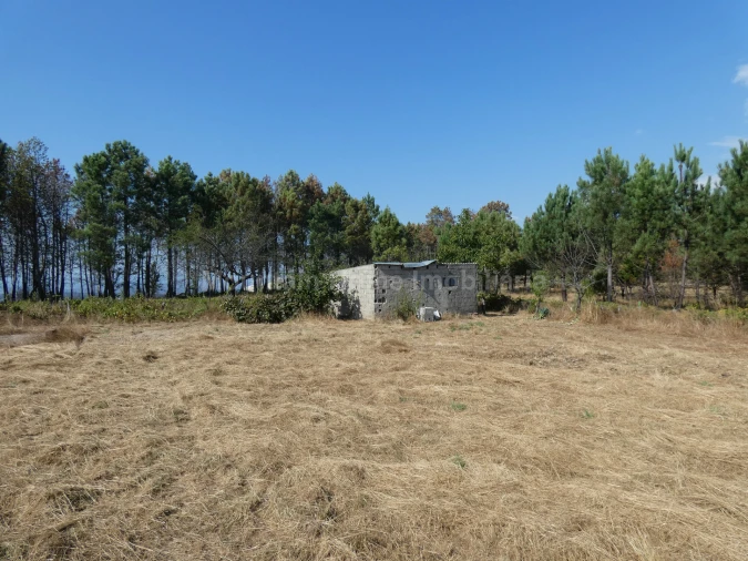 Quinta T0 para Venda em São Gião Foto 11