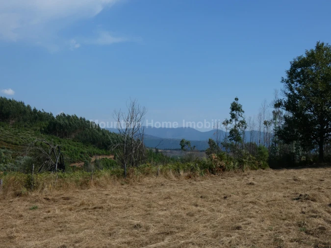 Quinta T0 para Venda em São Gião Foto 12